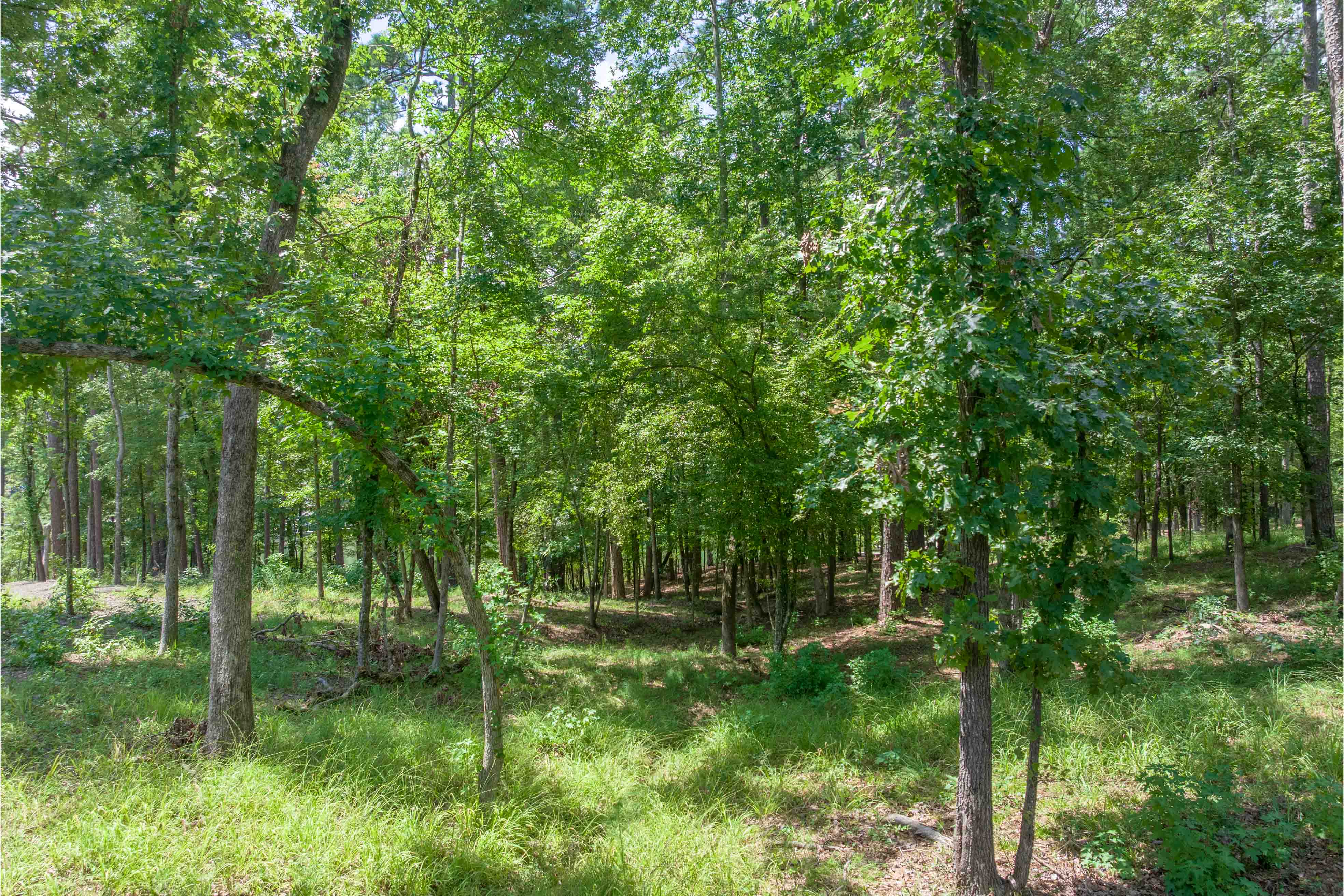 1491 Night Heron Drive image 5